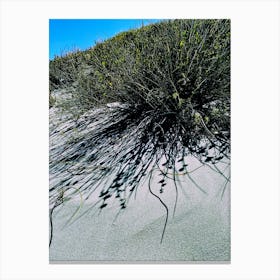 Sand Dune and Grass at the Beach Canvas Print