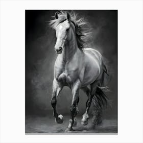 White Horse Galloping Canvas Print