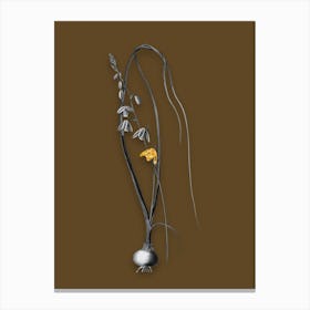Vintage Albuca Black and White Gold Leaf Floral Art on Coffee Brown n.0760 Canvas Print