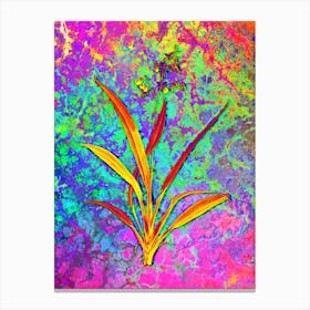 Flax Lilies Botanical in Acid Neon Pink Green and Blue n.0321 Canvas Print