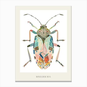 Colourful Insect Illustration Boxelder Bug 15 Poster Canvas Print