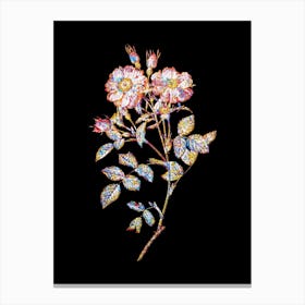 Stained Glass Queen Elizabeth's Sweetbriar Rose Mosaic Botanical Illustration on Black n.0110 Canvas Print