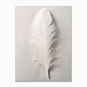 White Feather 1 Canvas Print