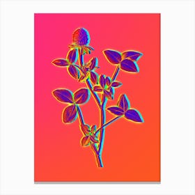Neon Pink Clover Botanical in Hot Pink and Electric Blue n.0539 Canvas Print
