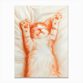 Cat Sleeping On A Pillow Canvas Print