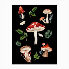 Mushrooms And Leaves Canvas Print