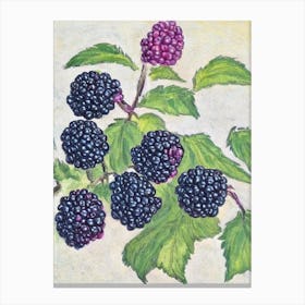 Black Raspberry Vintage Sketch Fruit Canvas Print