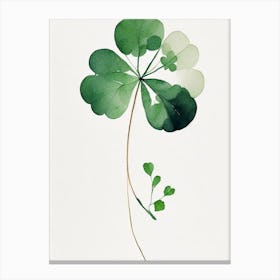 White Clover Leaf Minimalist Watercolour 3 Canvas Print