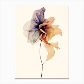 Chiffon Flower Canvas Print