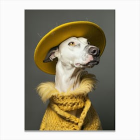 Dog In A Hat 1 Canvas Print