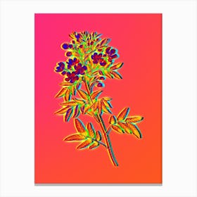 Neon Argentine Senna Botanical in Hot Pink and Electric Blue Canvas Print