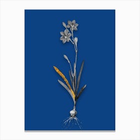Vintage Coppertips Black and White Gold Leaf Floral Art on Midnight Blue n.0848 Canvas Print
