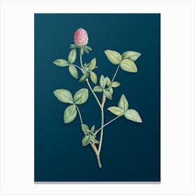 Vintage Pink Clover Botanical Art on Teal Blue Canvas Print