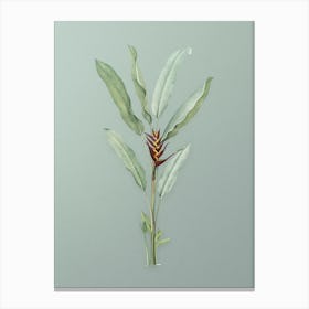 Vintage Parrot Heliconia Botanical Art on Mint Green n.0796 Canvas Print