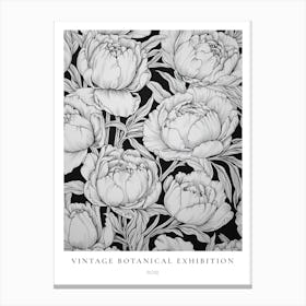 Rose B&W Vintage Botanical Poster Canvas Print