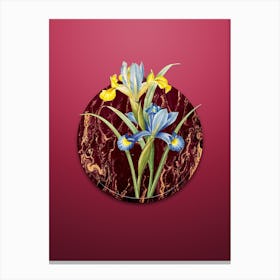 Vintage Spanish Iris Botanical in Gilded Marble on Viva Magenta Canvas Print