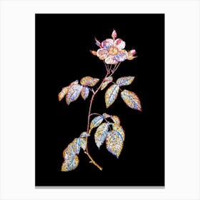 Stained Glass Big Leaved Climbing Rose Mosaic Botanical Illustration on Black n.0120 Canvas Print