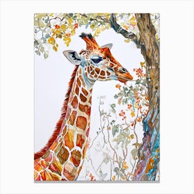 Giraffe In The Tree Branches 1 Canvas Print