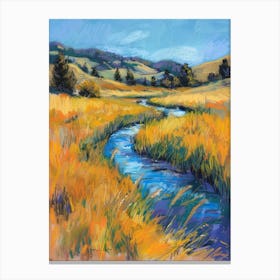 Stream In The Meadow 1 Canvas Print