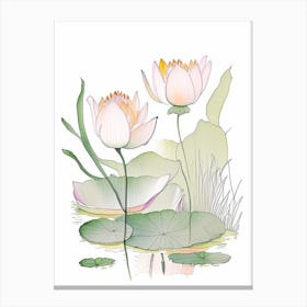 Lotus Flowers In Garden Pencil Illustration 1 Canvas Print