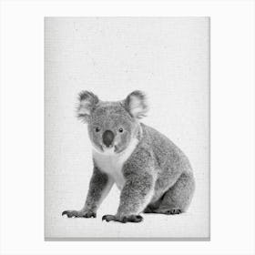 Koala II Canvas Print