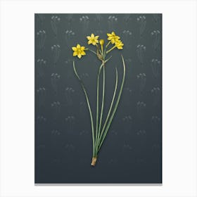 Vintage Rush Daffodil Botanical on Slate Gray Pattern n.1872 Canvas Print