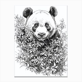 Giant Panda Hiding In Bushes Ink Illustration 1 Canvas Print