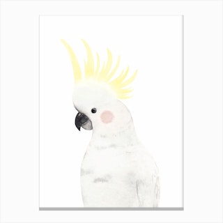 Sweet Cockatoo Canvas Print