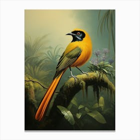 Splendid Plumage Wilson's Bird-of-Paradise Wall Art Canvas Print