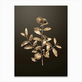 Gold Botanical Pomegranate Branch on Chocolate Brown n.2138 Canvas Print