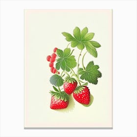 Alpine Strawberries, Plant, Retro Drawing Canvas Print