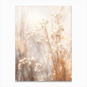 Boho Dried Flowers Forget Me Not 5 Canvas Print