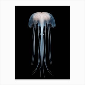 Comb Jellyfish Transparent 1 Canvas Print