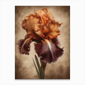 2024 May Poster Canvas Sng Iris 13 Canvas Print