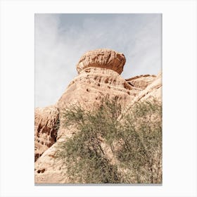 Rock The Desert Canvas Print