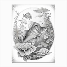 Tancho Koi Fish 1, Haeckel Style Illustastration Canvas Print