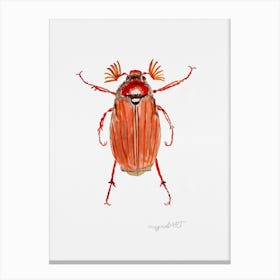 Melolontha hippocastani or forest cockchafer, watercolor artwork Canvas Print