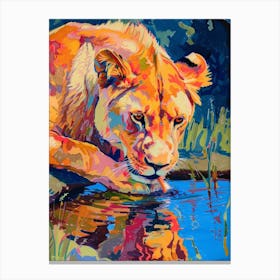 Southwest African Lion Drinking From A Watering Hole Fauvist Painting 4 Canvas Print