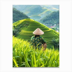 Rice Terraces In Vietnam 5 Canvas Print