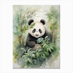 Panda Art Drawing Watercolour 2 Canvas Print