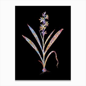 Stained Glass Wachendorfia Thyrsiflora Mosaic Botanical Illustration on Black Canvas Print