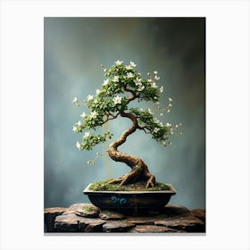 Bonsai Tree 4 Canvas Print