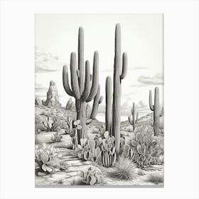 Vintage Cactus Illustration Organ Pipe Cactus B&W Canvas Print