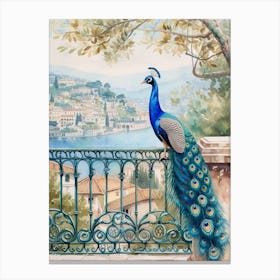 Watercolour Peacock On An Iron Balcony 2 Canvas Print