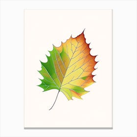 Maple Leaf Warm Tones Canvas Print