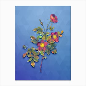 Vintage Alpine Rose Botanical Art on Blue Perennial n.0292 Canvas Print