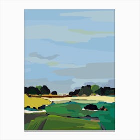 Field Of Grass Canvas Print