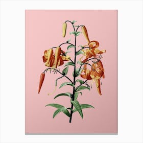 Vintage Tiger Lily Botanical on Soft Pink n.0558 Canvas Print