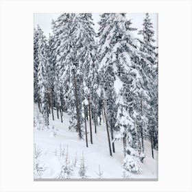 Snow Canvas Print