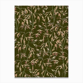 Native Themeda Grass Pattern On Olive Canvas Print